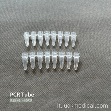 Strisce del tubo PCR 0,2 ml 0,1 ml